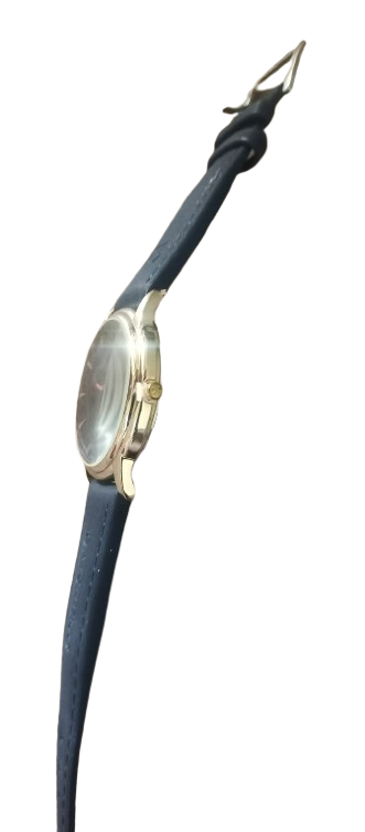 Baishing Men’s Quartz Watch – Luxury Waterproof Stainless Steel Design